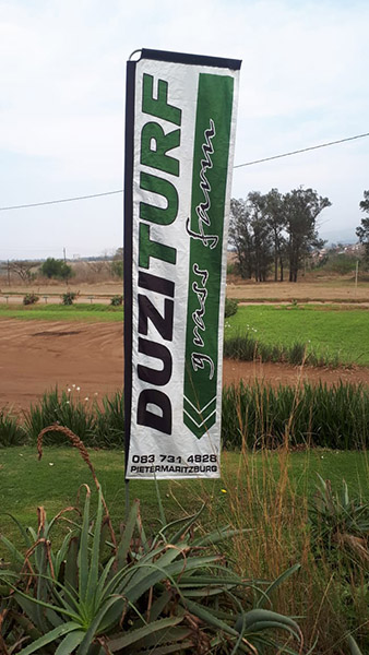 Duzi_popup